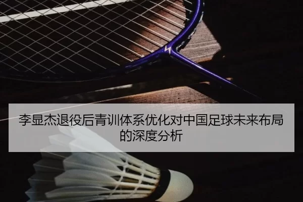 李显杰退役后青训体系优化对中国足球未来布局的深度分析